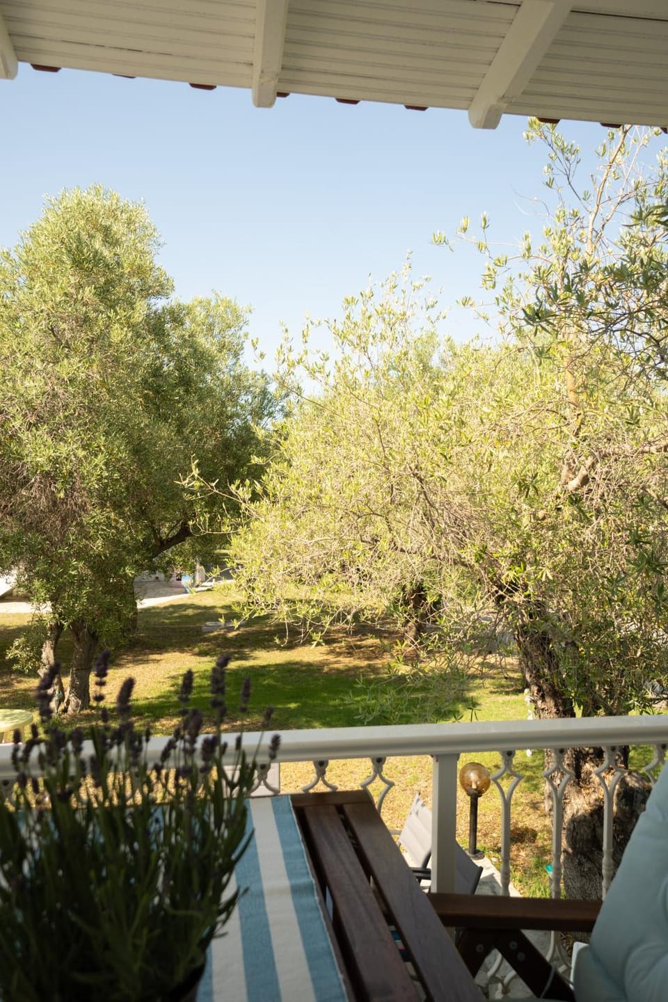 Garden, Balcony/Terrace, Garden view