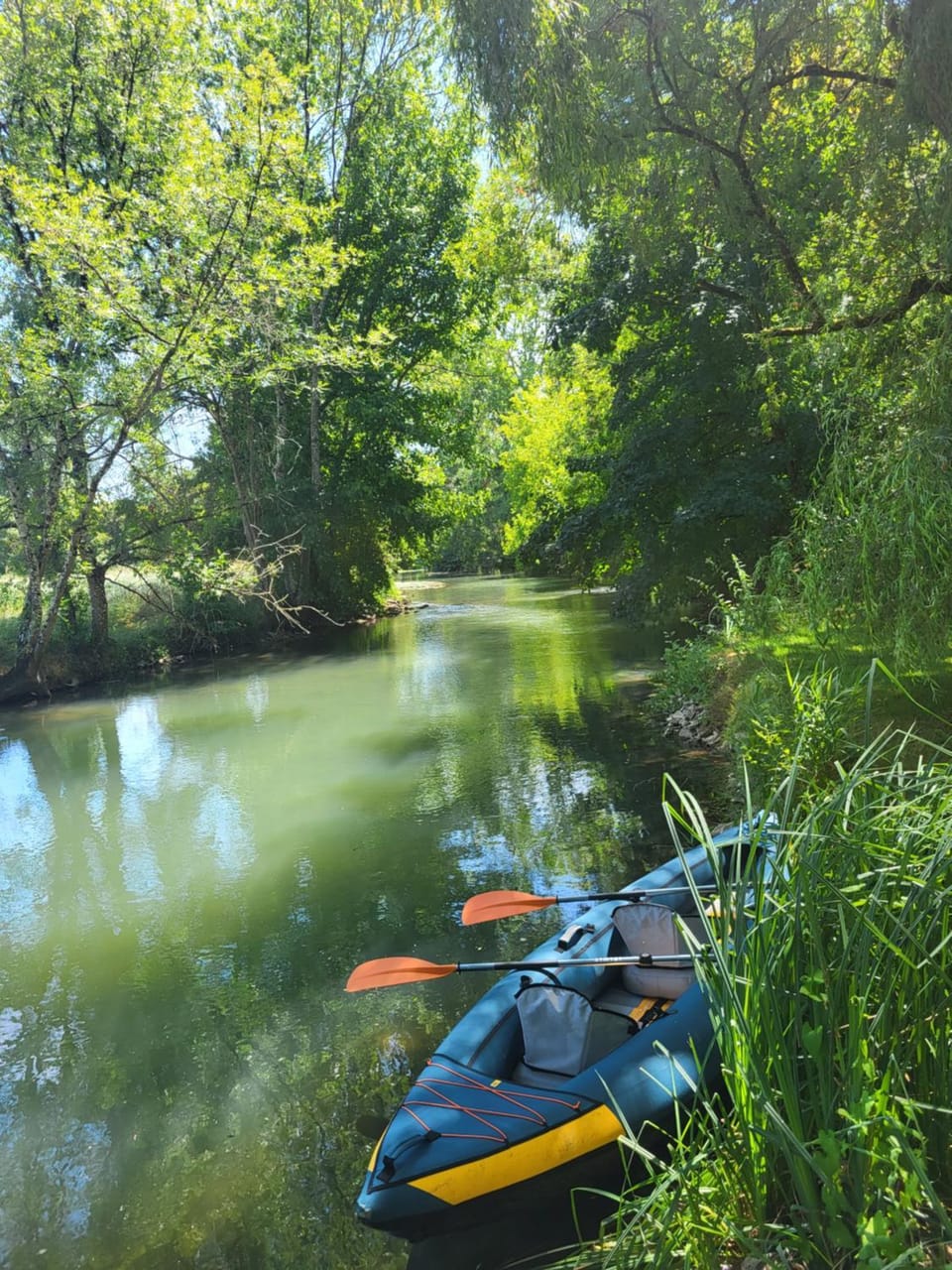 Natural landscape, Activities, Canoeing, River view