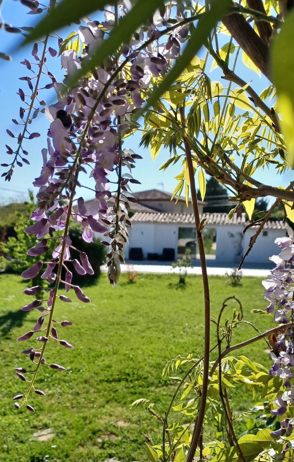 BBQ facilities, Garden, Communal kitchen, Pool view, Swimming pool