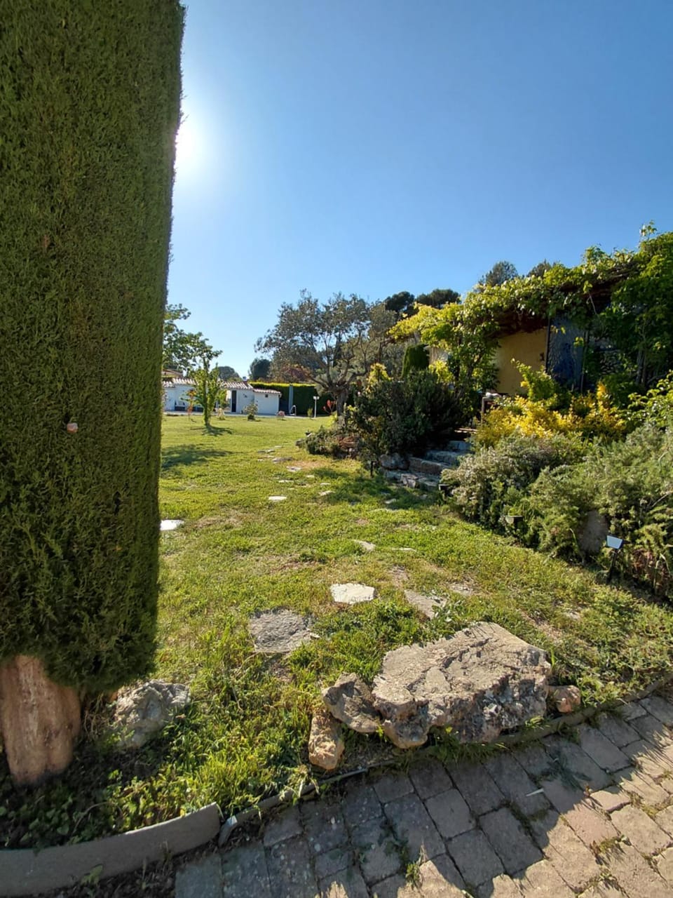 Spring, Garden