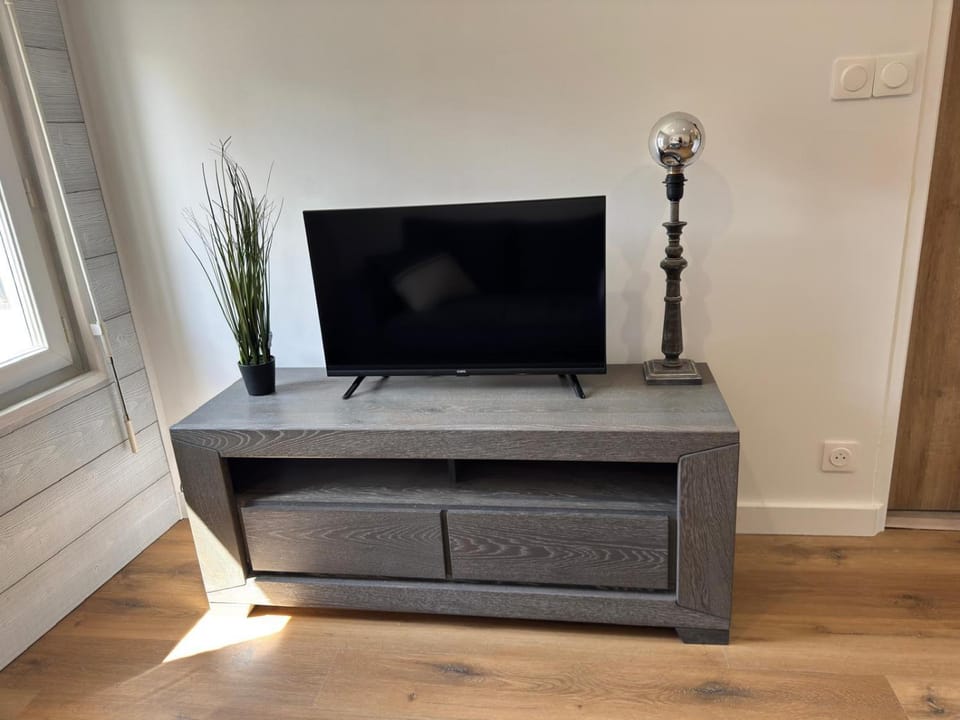 TV and multimedia