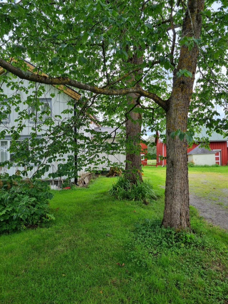 Flekkan gård House in Trondelag