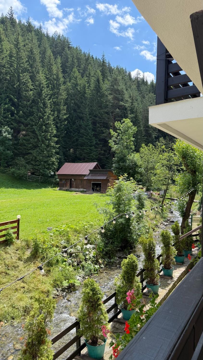 Mountain view