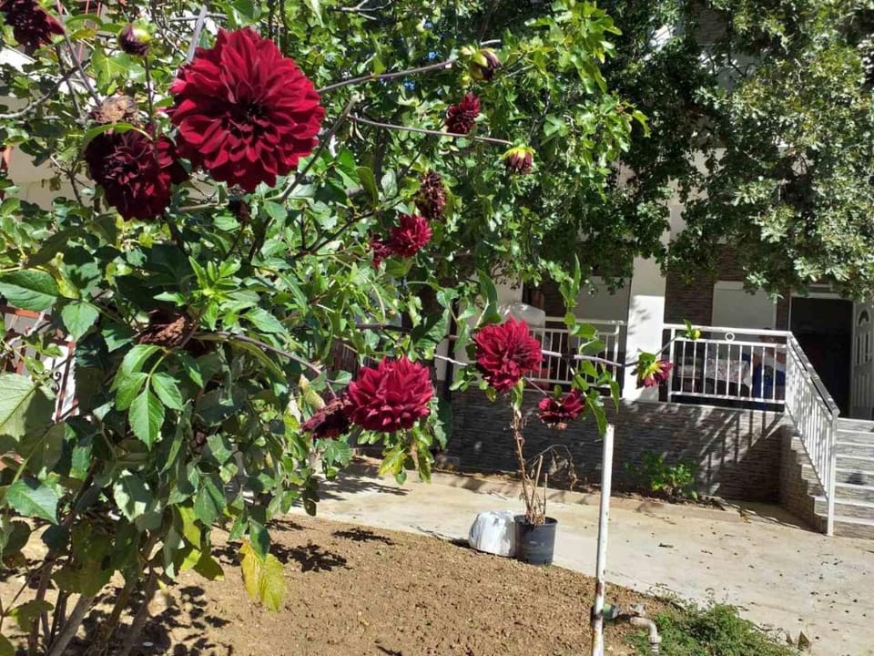 Apartmani Sutomore welcome Apartment in Montenegro