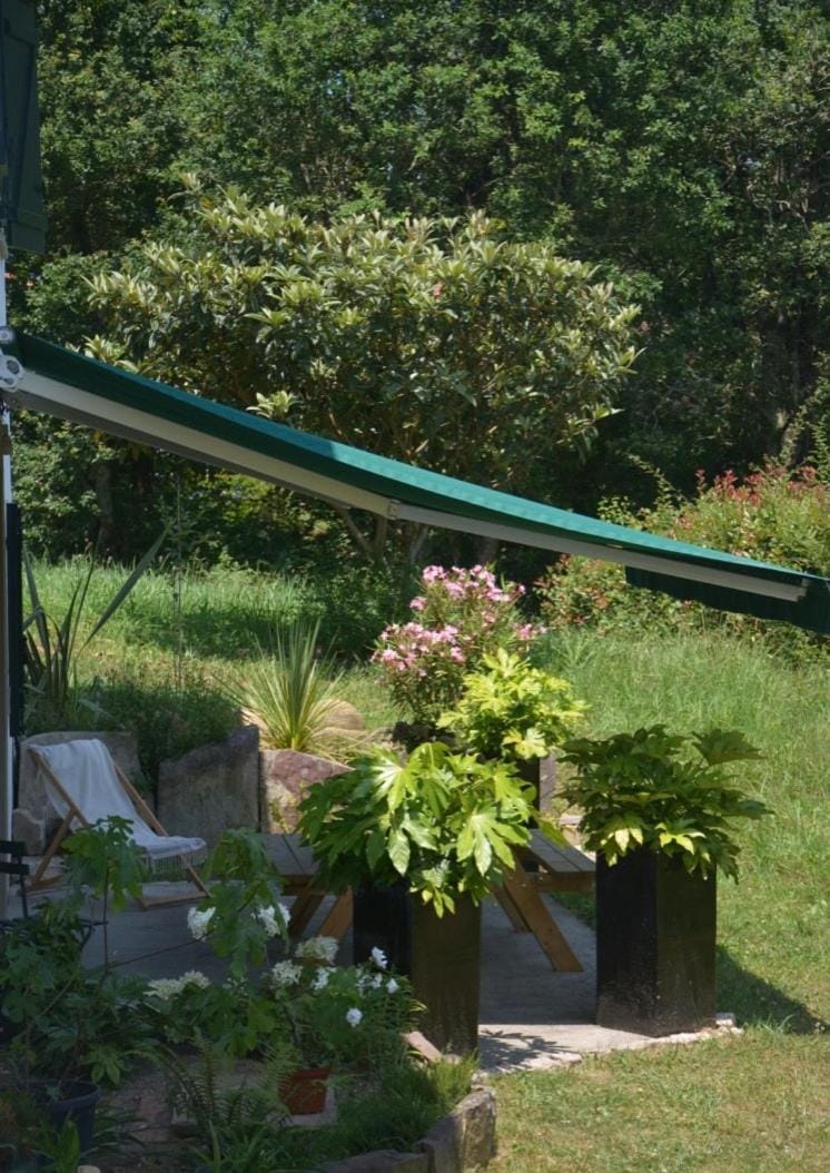 Garden, Balcony/Terrace