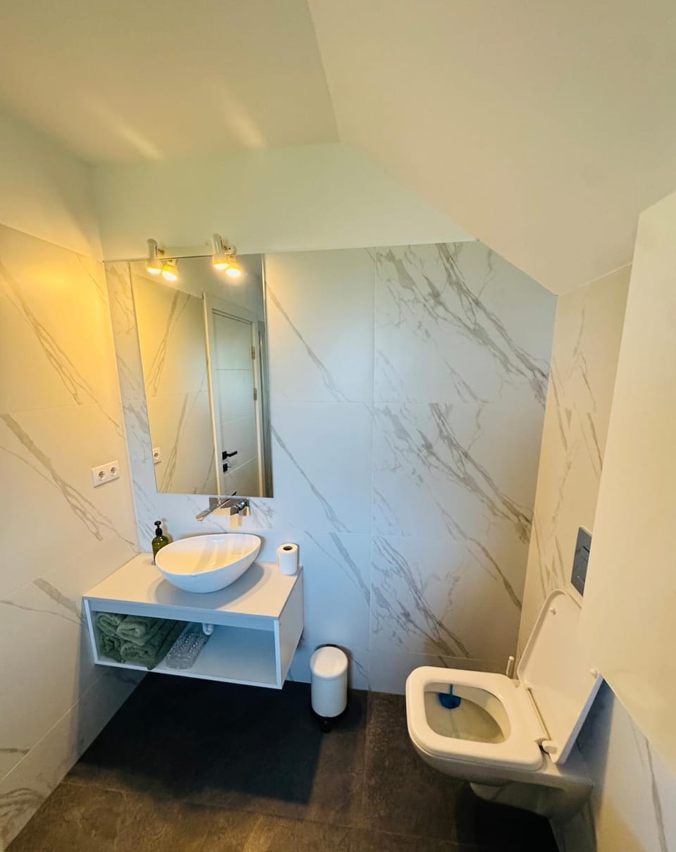 Apartament cu curte Gruia Apartment in Cluj-Napoca