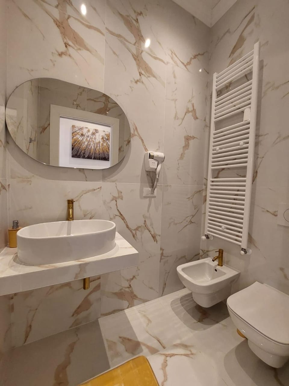 Toilet, Bathroom, bidet