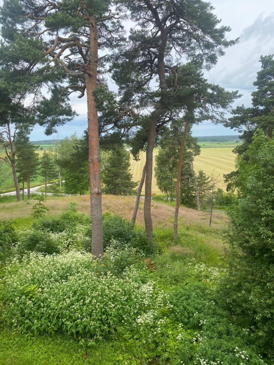 Björkboda Apartment in Finland