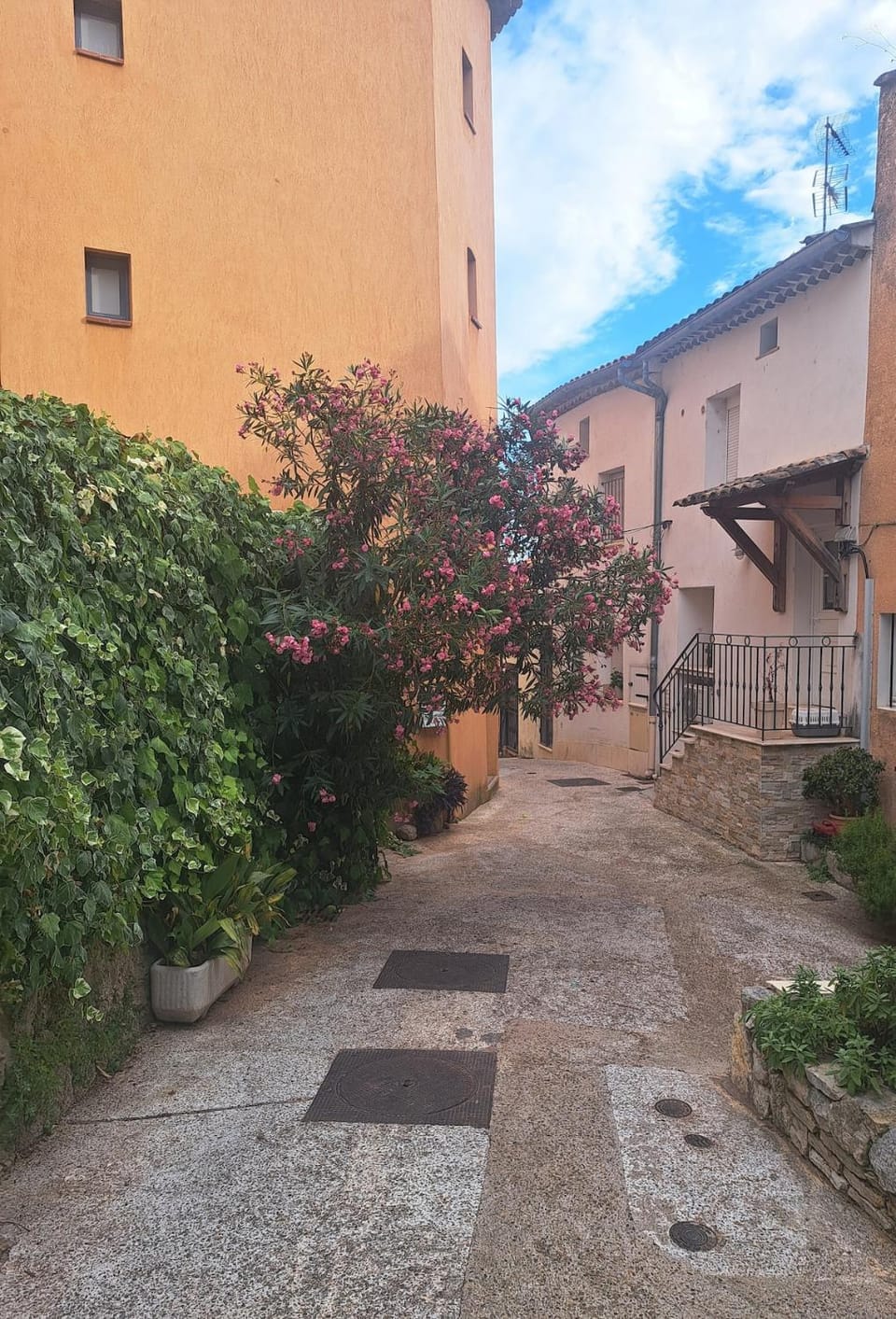 Day, Street view