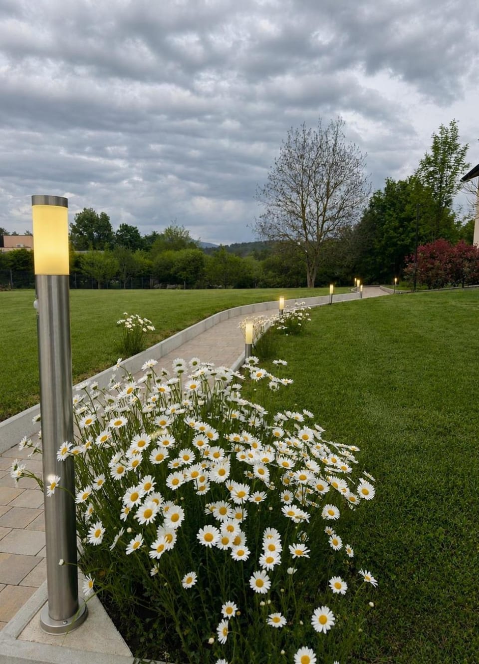 Daisy Apartment in Slovenia