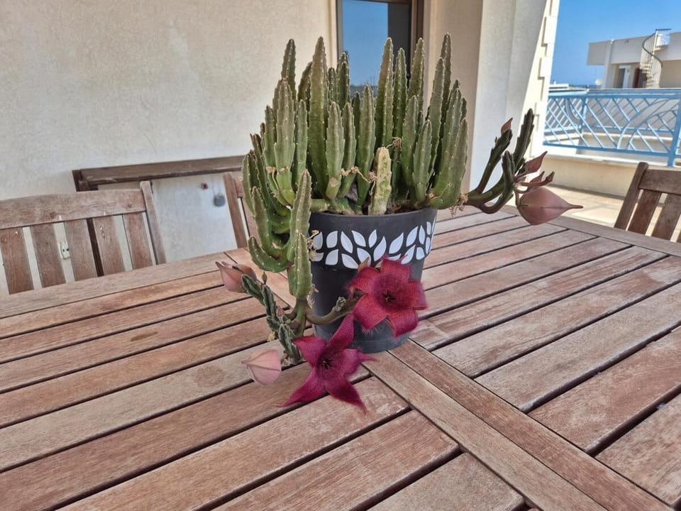 CasAMiCa House in Torre Canne