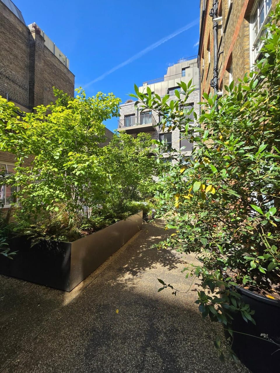 Covent Garden Stunning Flat Apartment in City of Westminster