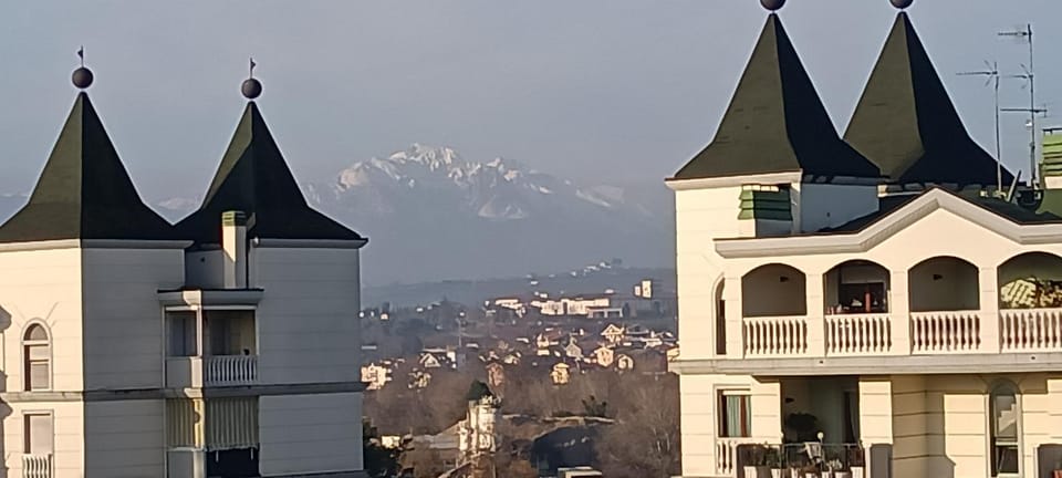 Mountain view