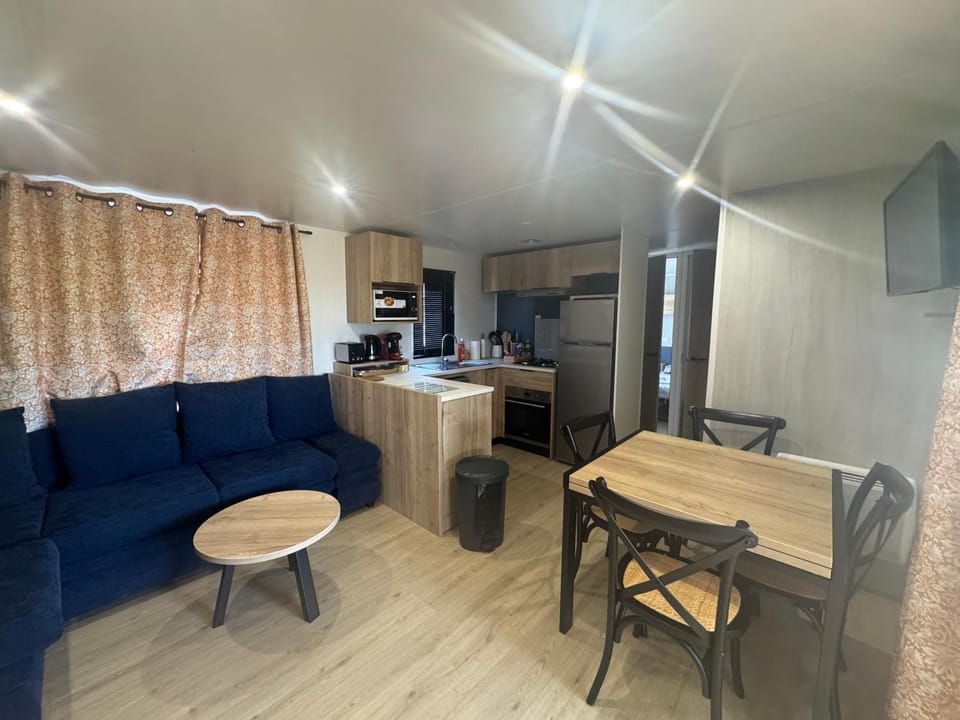 Kitchen or kitchenette, Living room, Seating area, Dining area, oven, stove