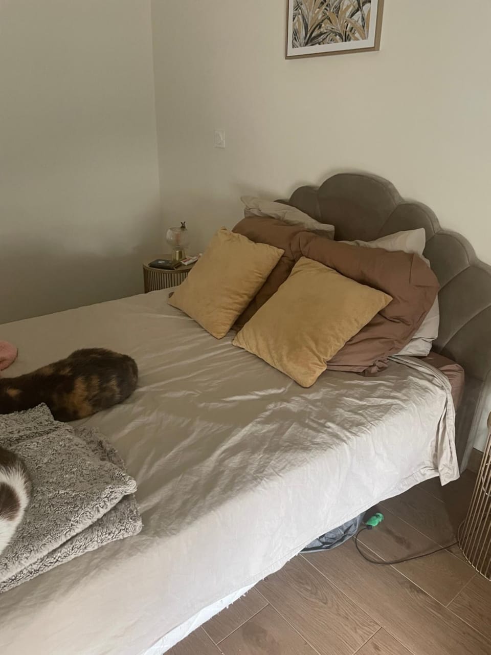 Bed