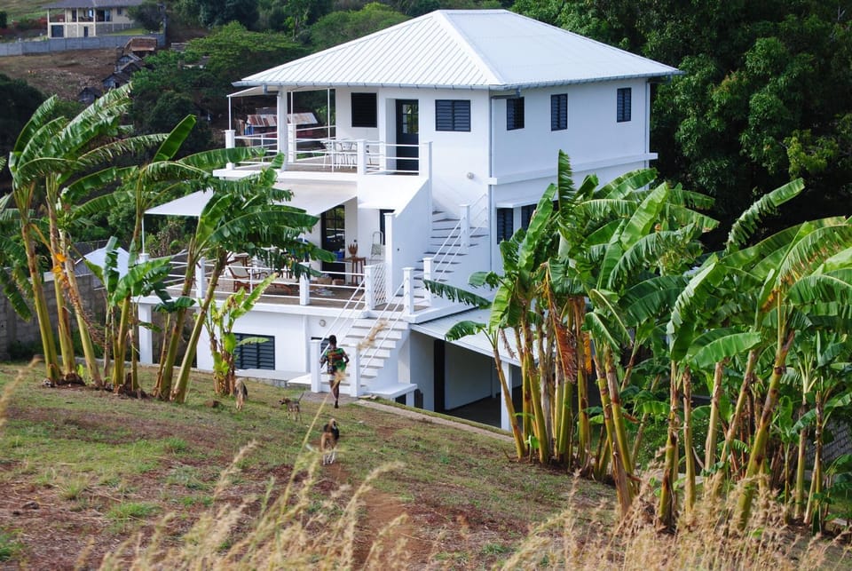 Property building, Garden, Garden view