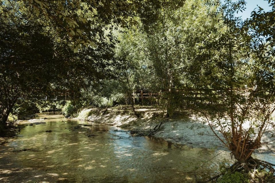 Quinta da Fenteira - Casa Lima House in Viana do Castelo District, Portugal