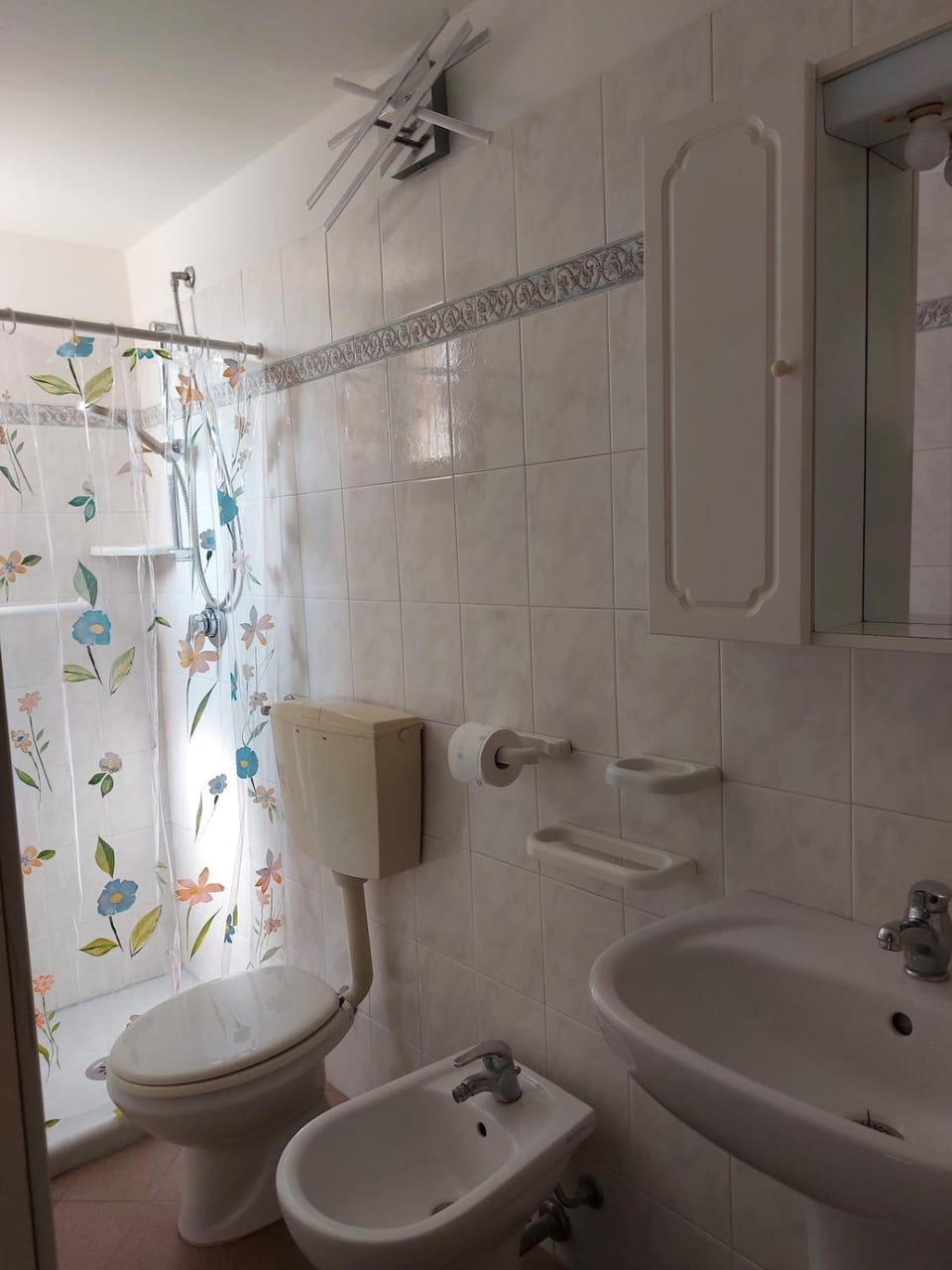 Shower, Toilet, Bathroom, bidet