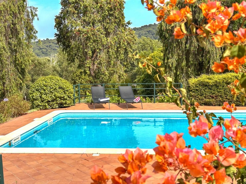 Day, Natural landscape, Garden, Garden view, Mountain view, Swimming pool, Swimming pool, sunbed