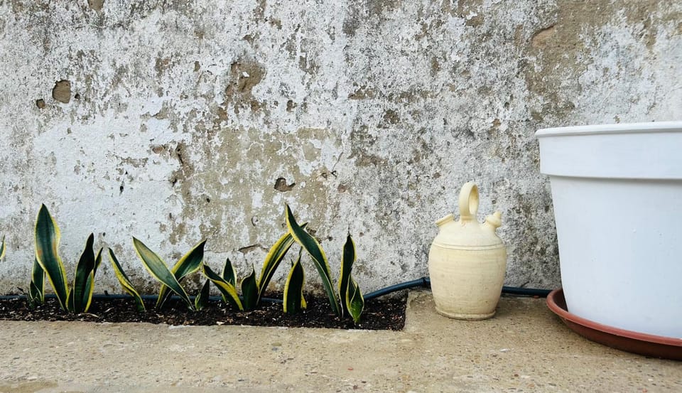 Patio, Balcony/Terrace