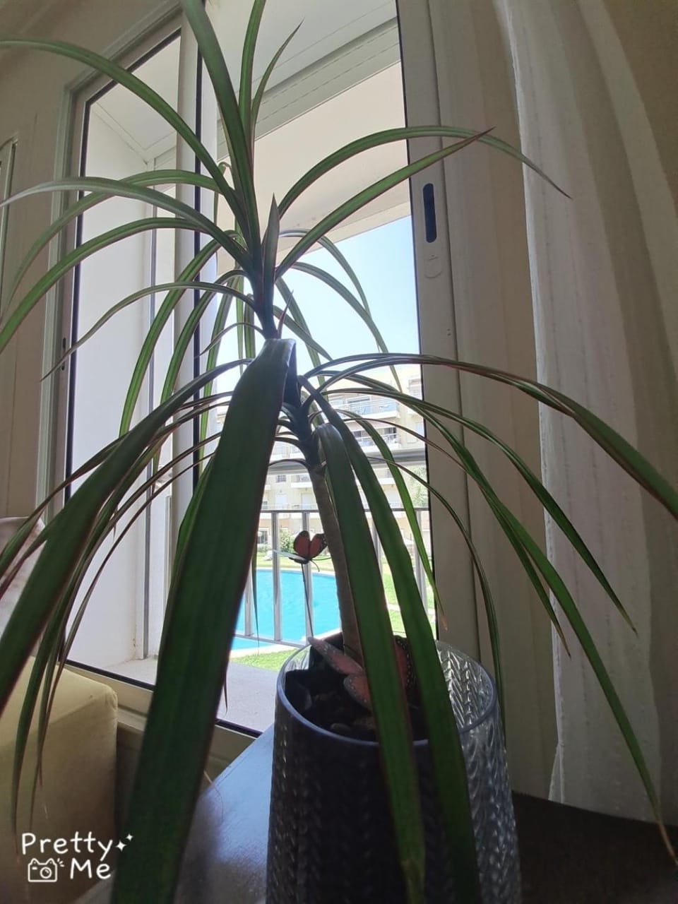 Chaleureux appartement Apartment in Bouznika