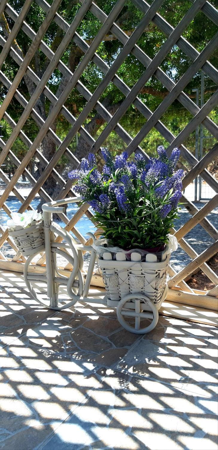 Patio, Balcony/Terrace, Garden view