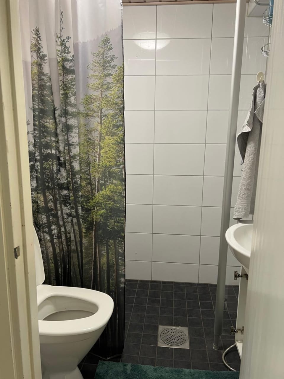 Toilet, Bathroom