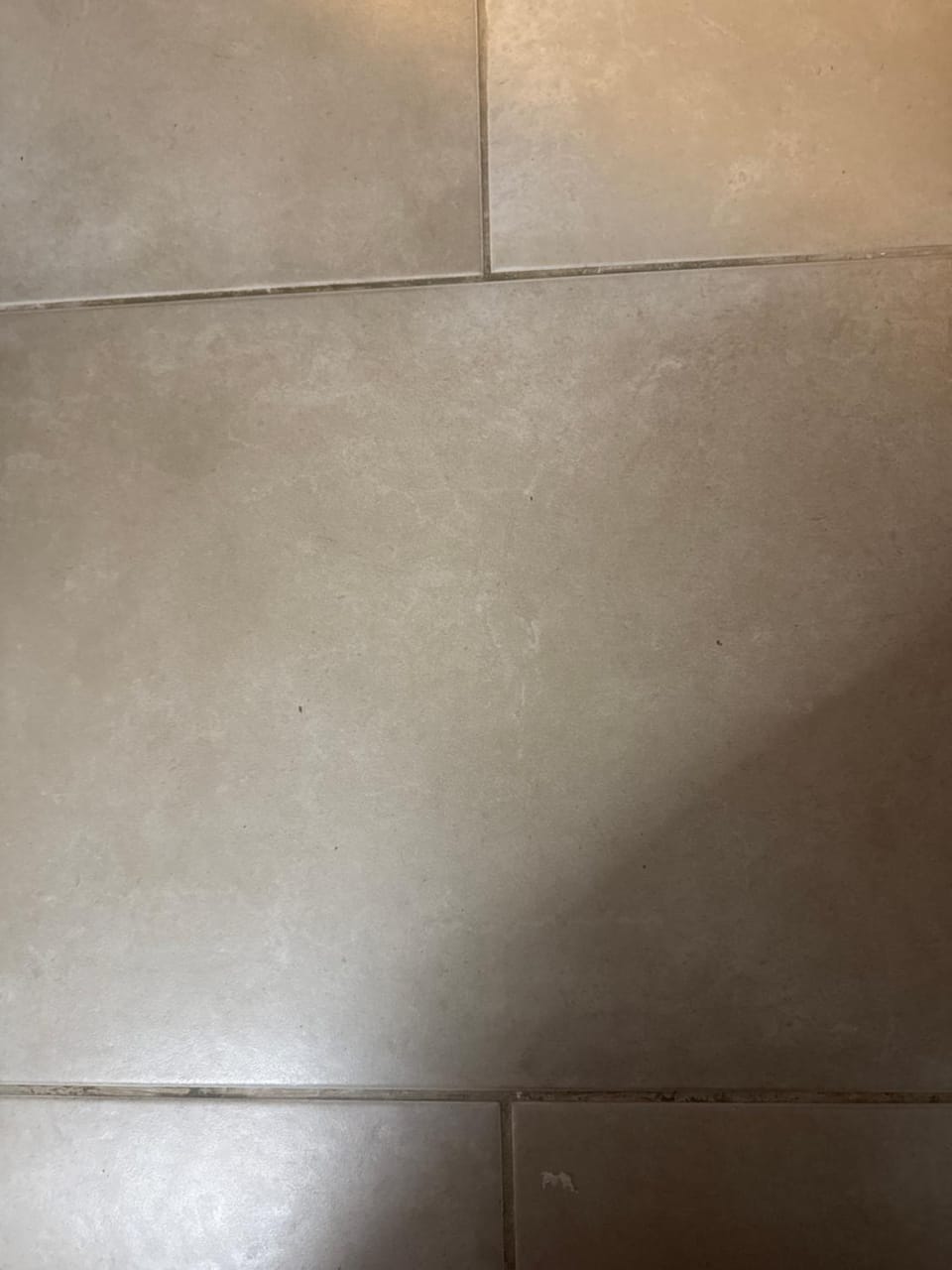 The Fox Den Vacation rental in Christchurch