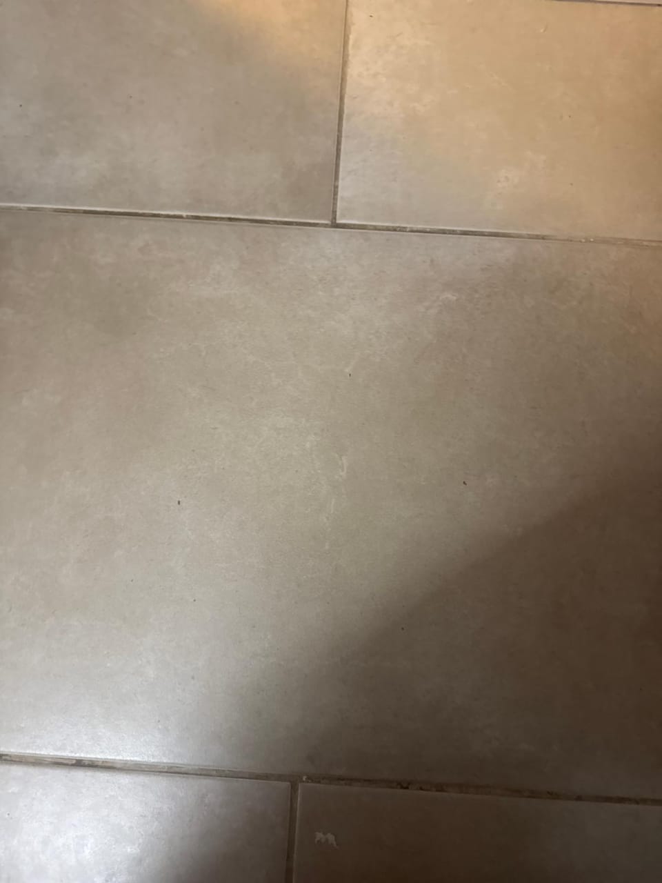 The Fox Den Vacation rental in Christchurch