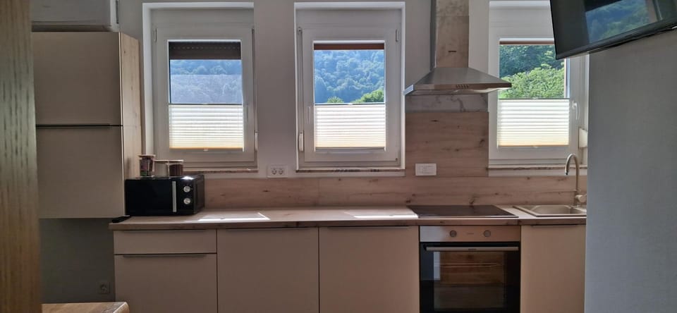 Kitchen or kitchenette, oven, stove