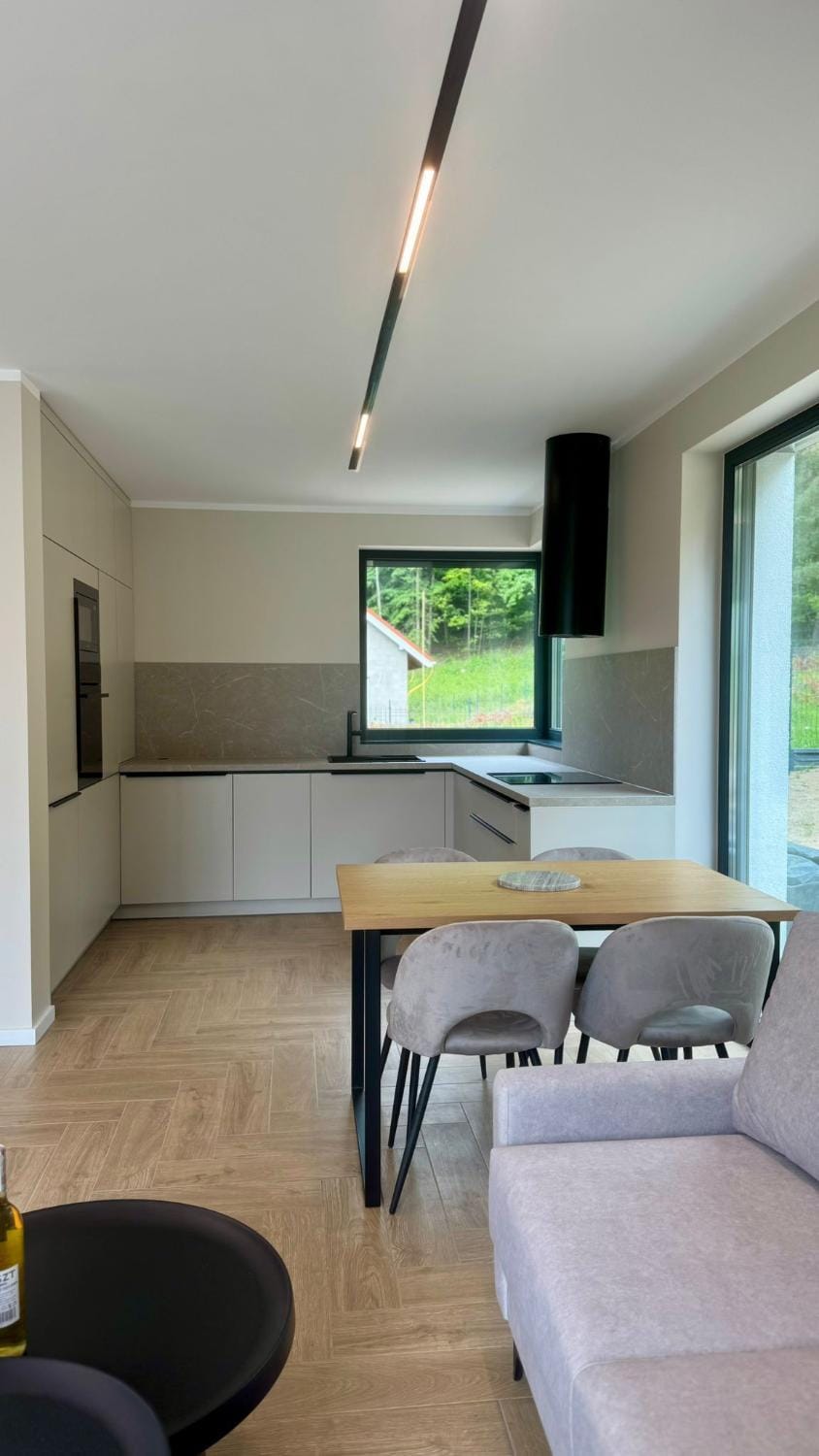 Kitchen or kitchenette, Dining area