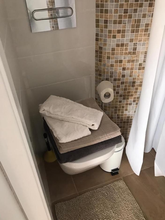 Toilet, Bathroom, towels