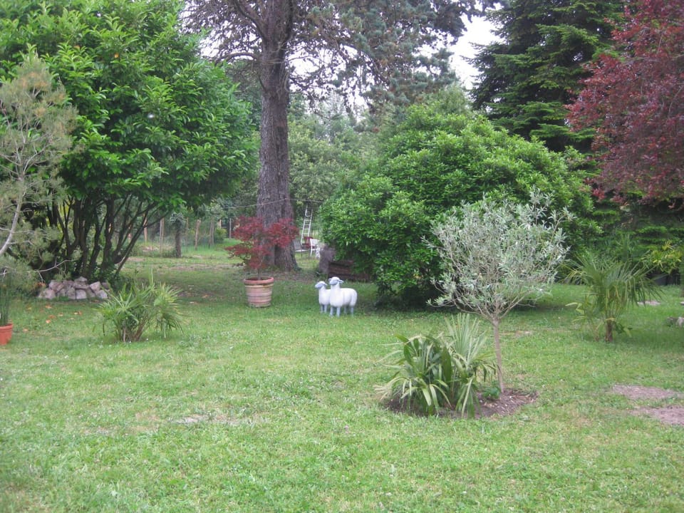 Garden view