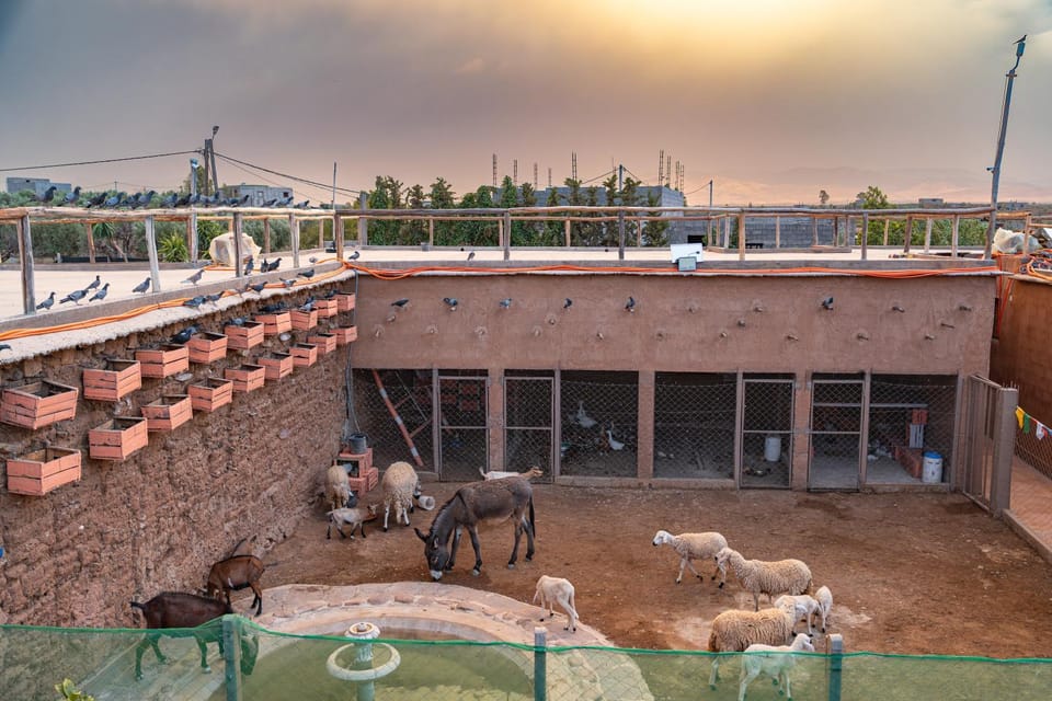 Property building, Balcony/Terrace, Animals