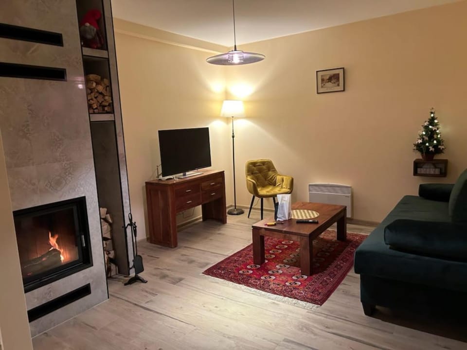Communal lounge/ TV room, TV and multimedia, Living room, Seating area, Evening entertainment, fireplace, flat iron