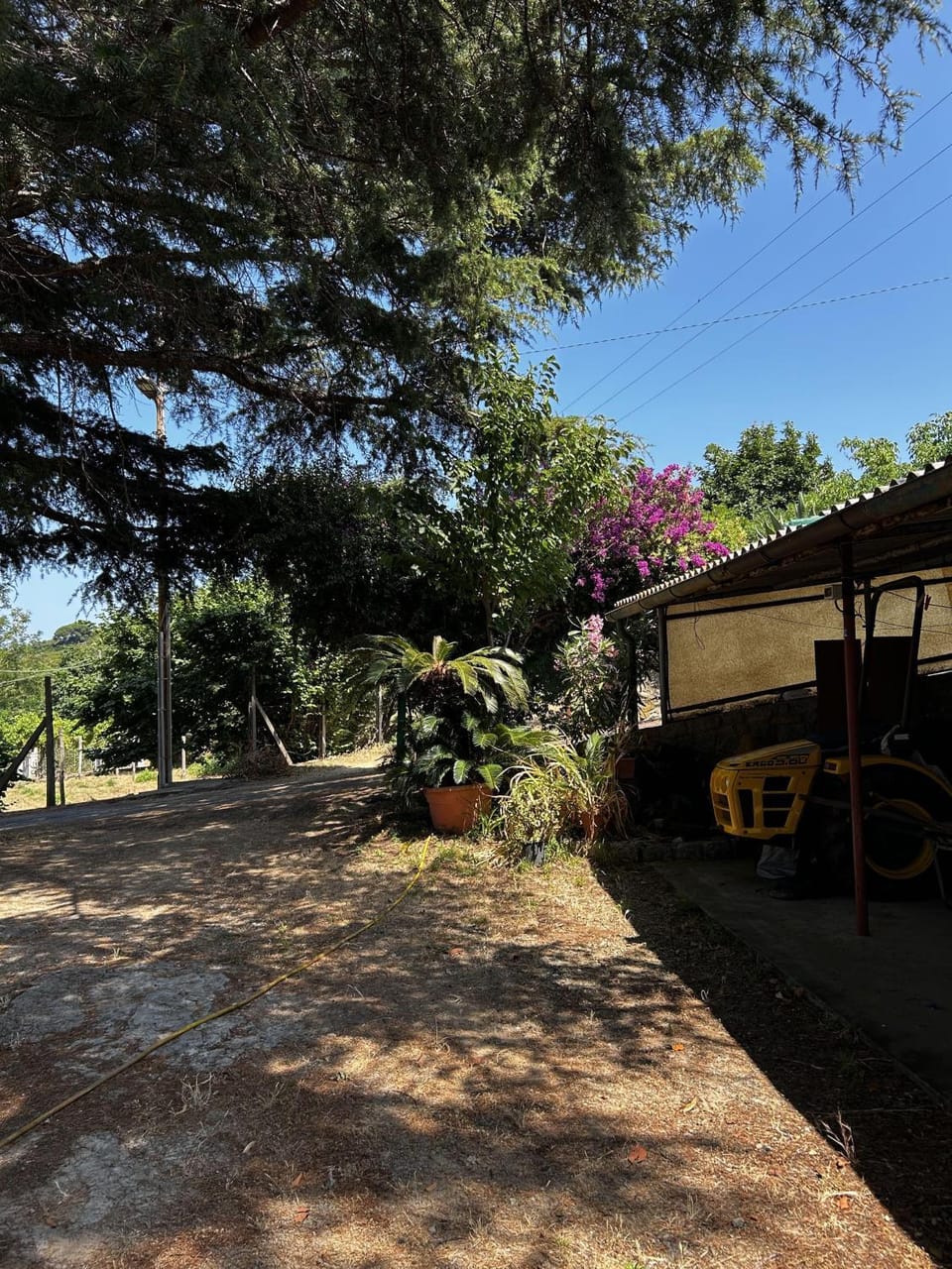 Da Beatrice House in Marciana Marina