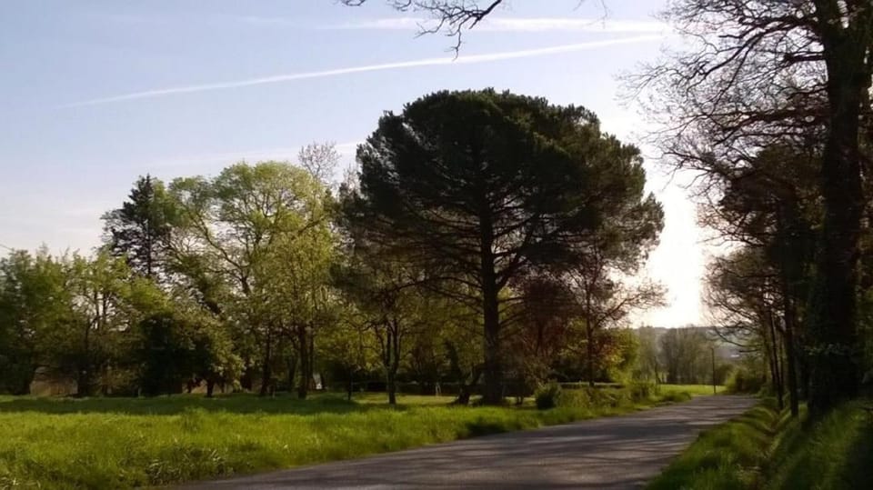 Grand Mas, 32 hectares, nature et retrouvailles House in Occitanie