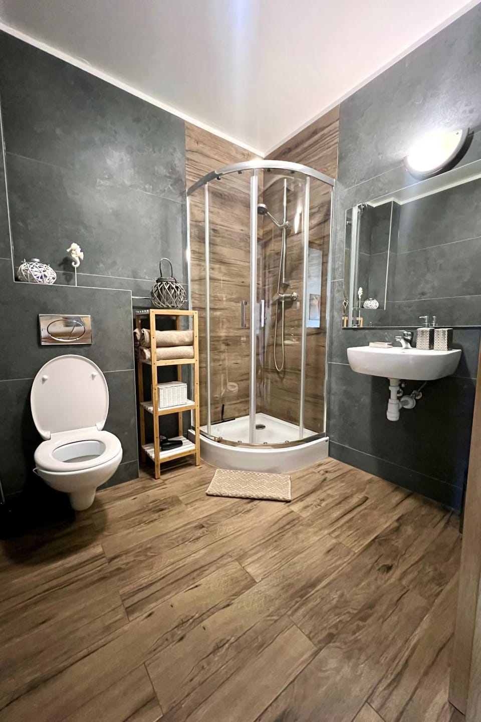 Shower, Toilet, Bathroom, hair dryier, towels, towels, dryer