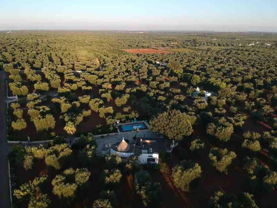 TRULLO LA QUERCIA with Pool House in Province of Taranto