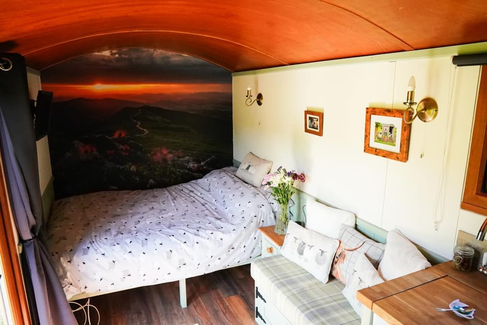 Bed, Photo of the whole room
