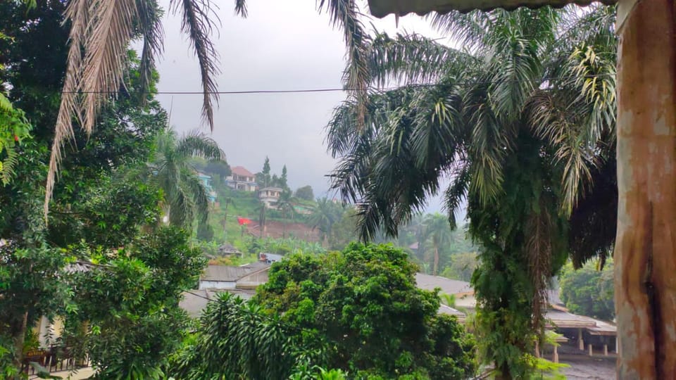 Villa Pangrango Villa in Cisarua