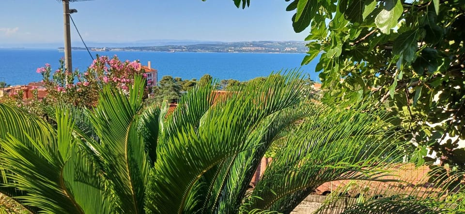 Sea view