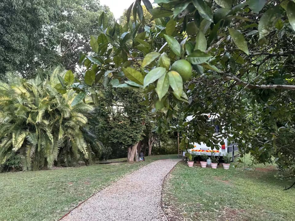 Bello BigRig Luxury Riverfront Escape Close to Town House in Bellingen