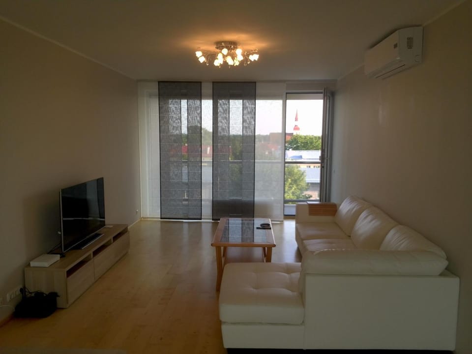 TV and multimedia, Balcony/Terrace, Living room, Photo of the whole room, Decorative detail, Seating area, On site, City view, Area and facilities