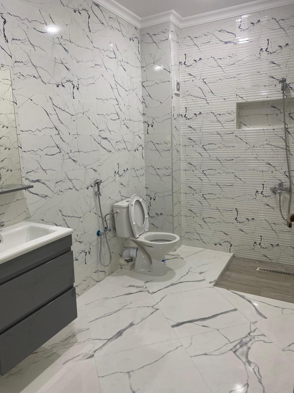 Shower, Toilet