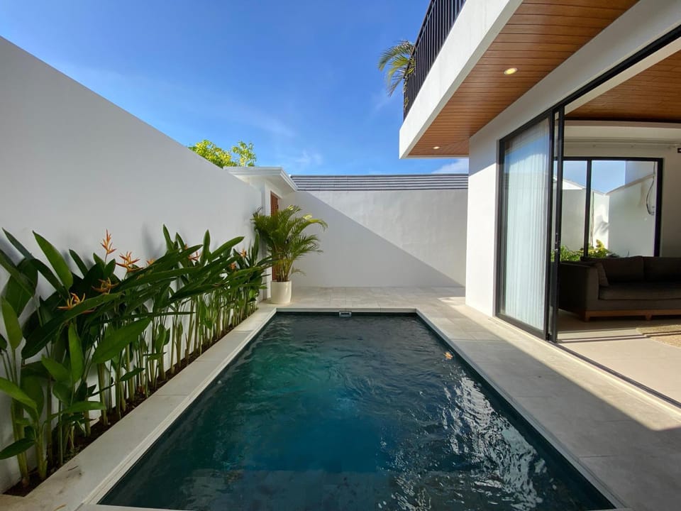 Day, Pool view, Swimming pool