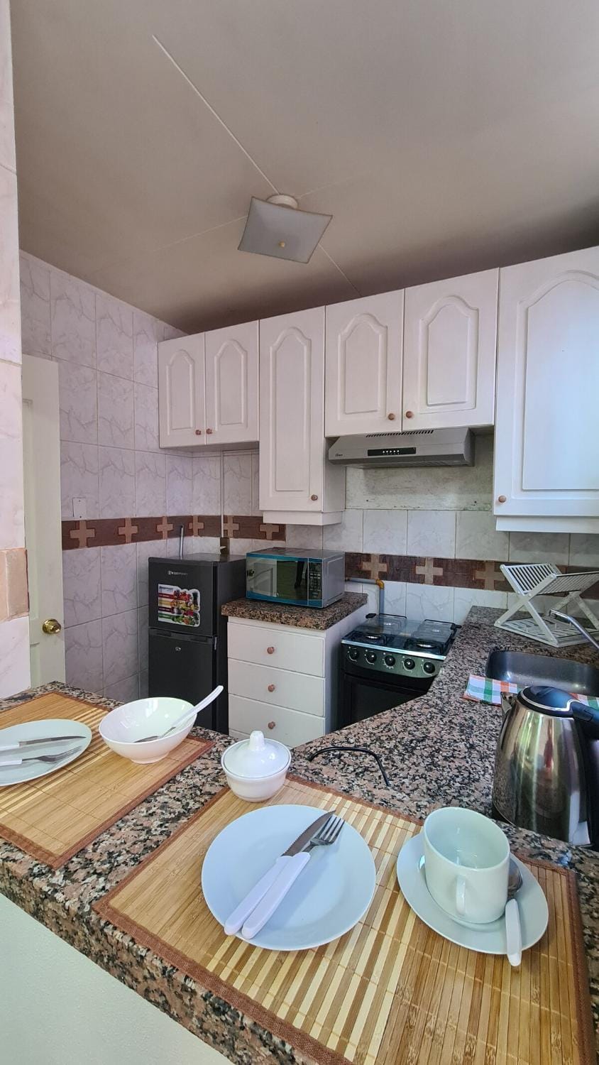 Coffee/tea facilities, Kitchen or kitchenette, oven