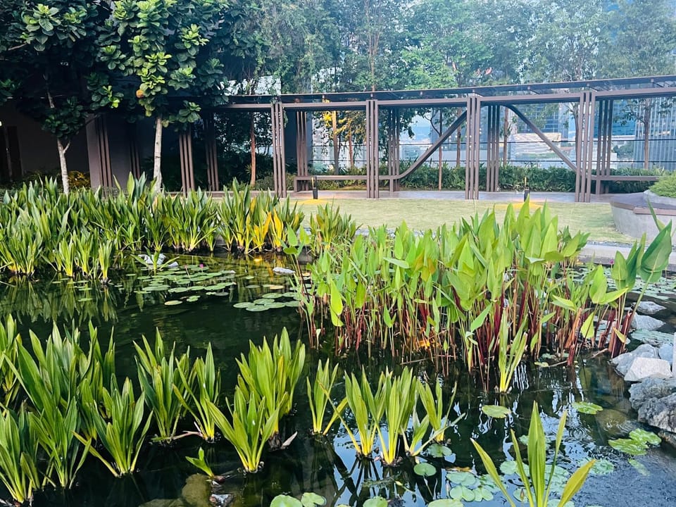 Day, Natural landscape, Garden, Garden view