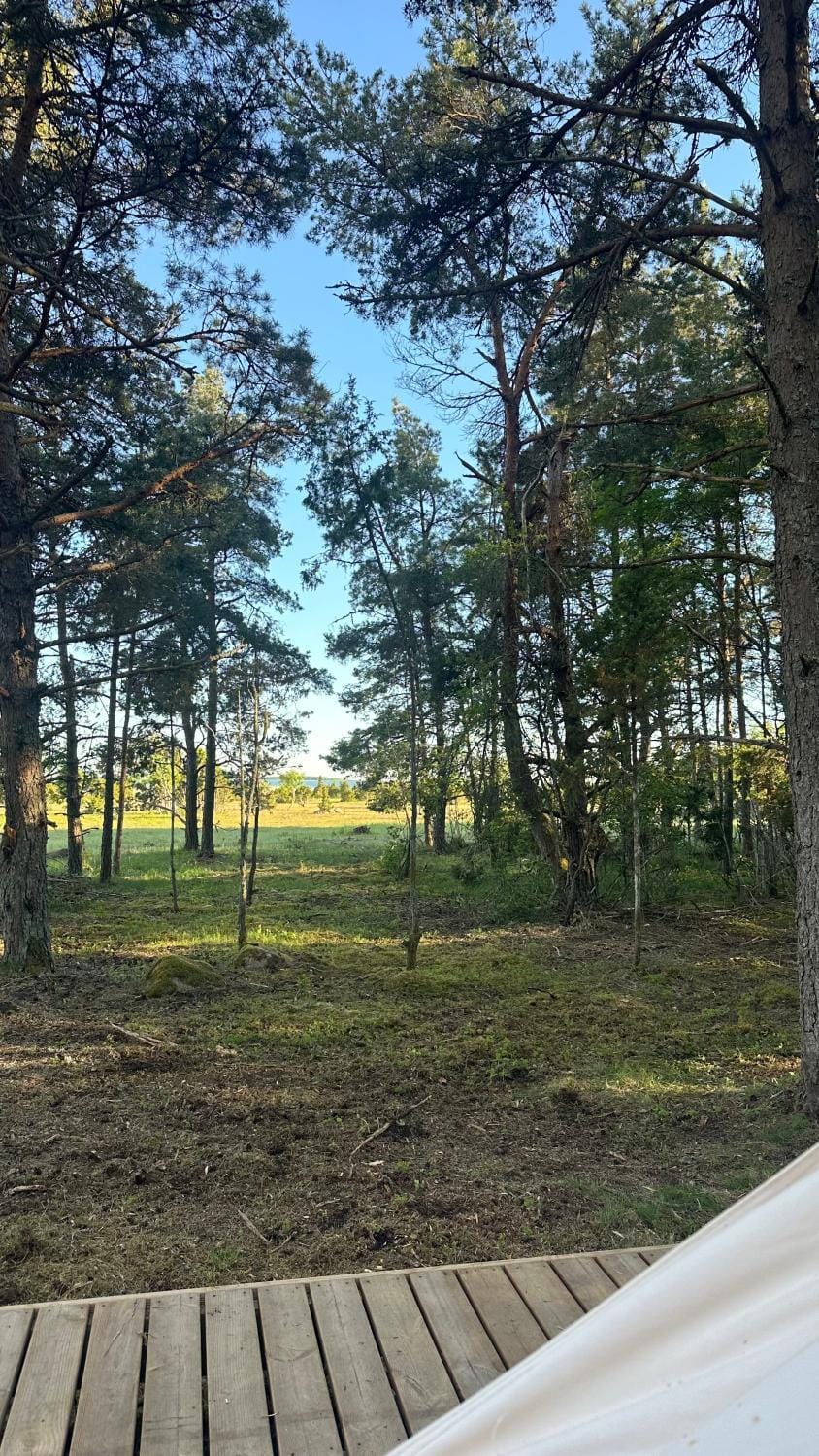 Merevaatega Glämping Sarvel Luxury tent in Estonia