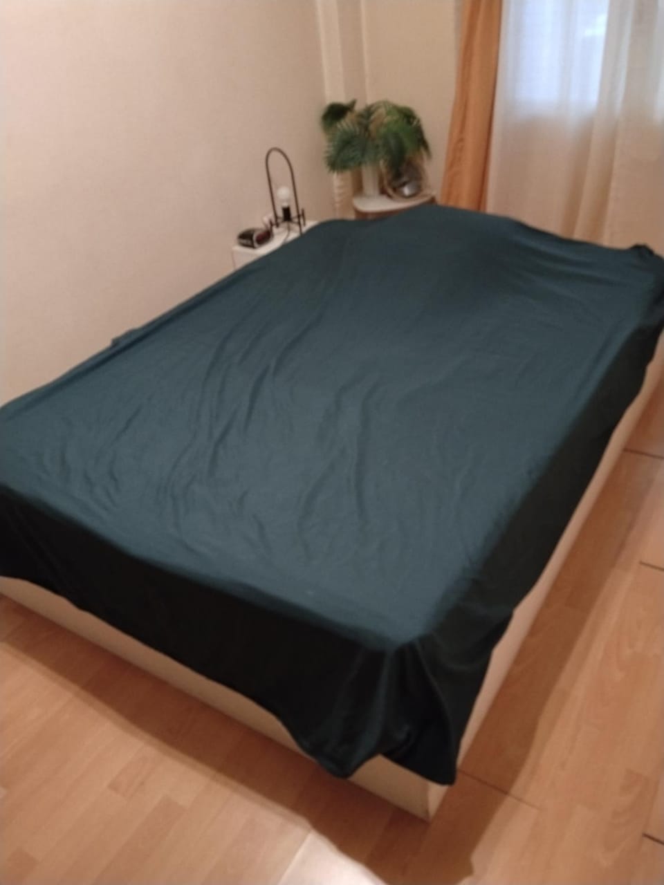 Les temps heureux Vacation rental in Nancy